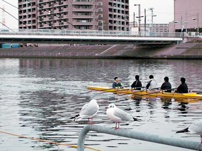 鶴見川　森永橋近く