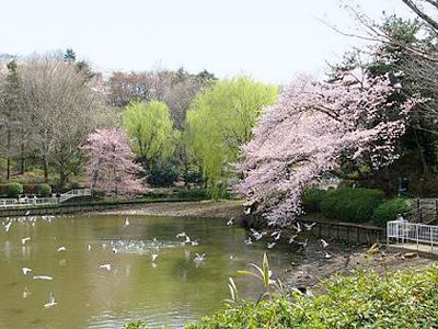 三ッ池公園
